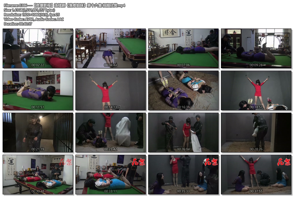 5386----【胜景影视】连续剧《落难姐妹》第十六集 视频欣赏.jpg