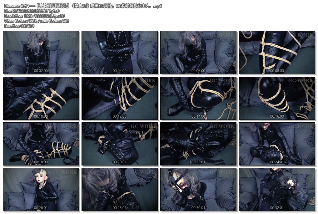8794----【流浪到世界尽头】《禁夜13》暗黑KIG风格，KIG伪娘调教女主人。.jpg