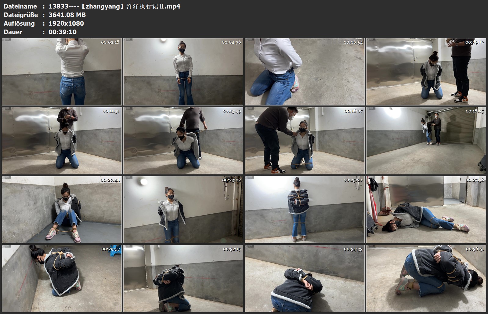 13833----【zhangyang】洋洋执行记Ⅱ.jpg
