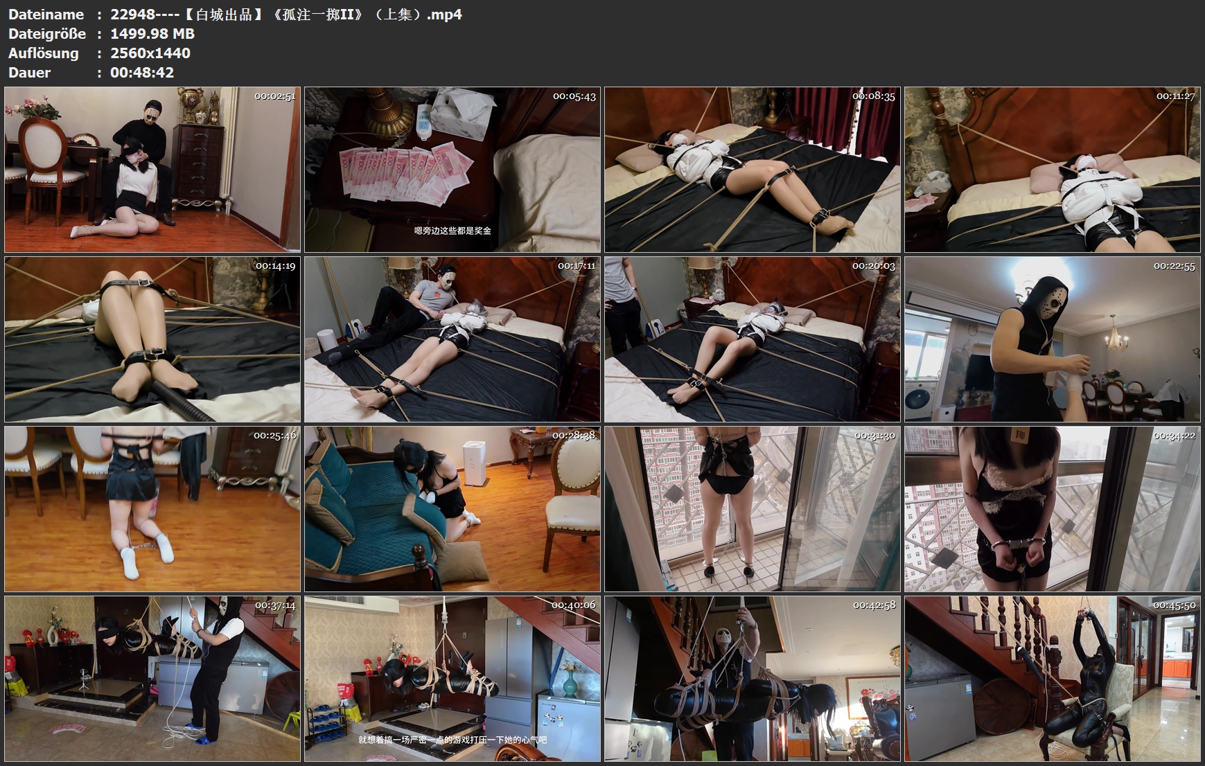 22948----【白城出品】《孤注一掷II》（上集）.jpg
