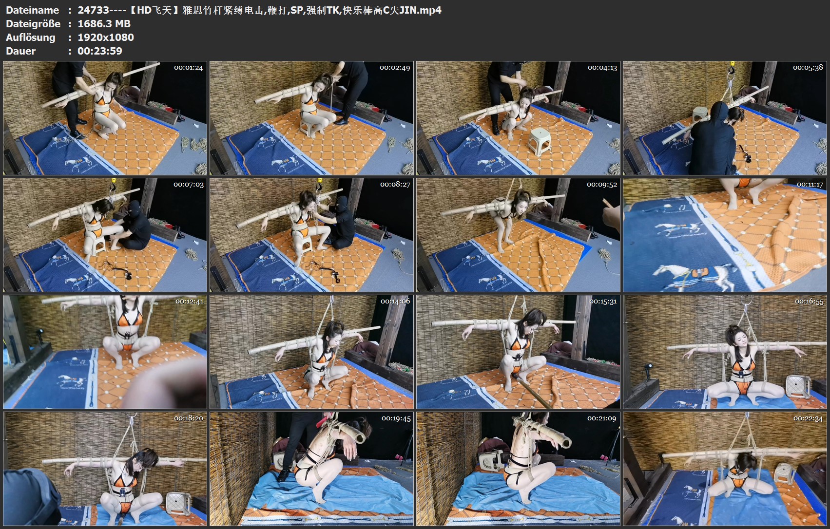 24733----【HD飞天】雅思竹杆紧缚电击,鞭打,SP,强制TK,快乐棒高C失JIN.jpg