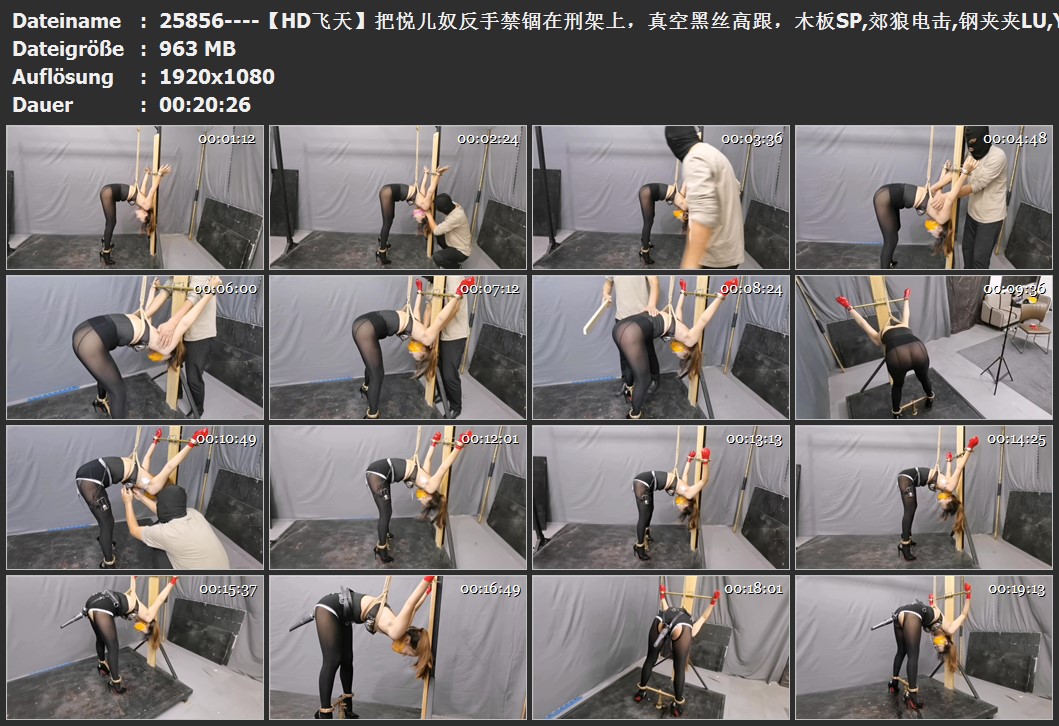 25856----【HD飞天】把悦儿奴反手禁锢在刑架上，真空黑丝高跟，木板SP,郊狼电击,钢夹.jpg