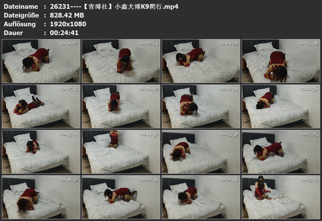26231----【青缚社】小鑫犬缚K9爬行.jpg