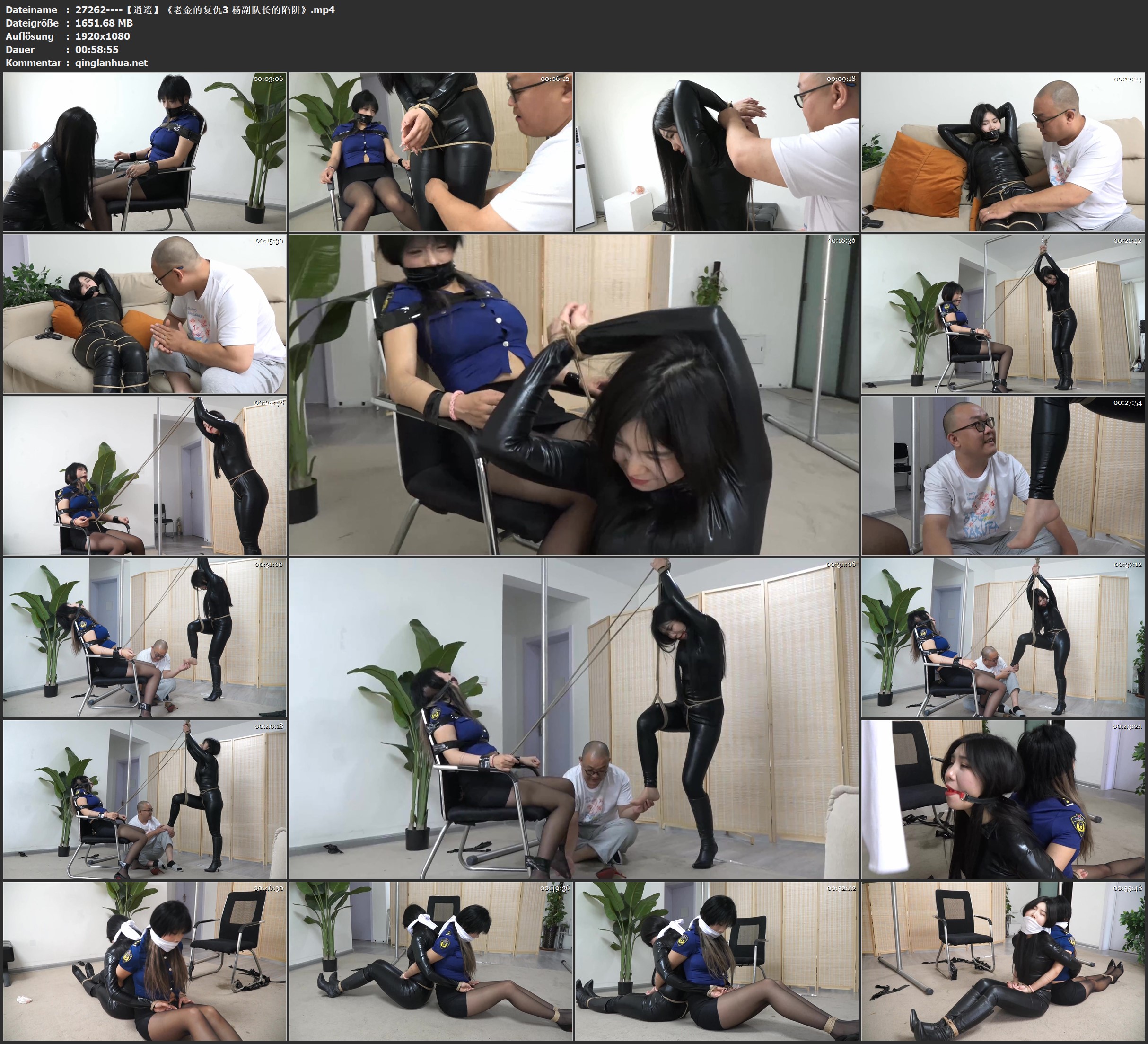 27262----【逍遥】《老金的复仇3 杨副队长的陷阱》.jpg