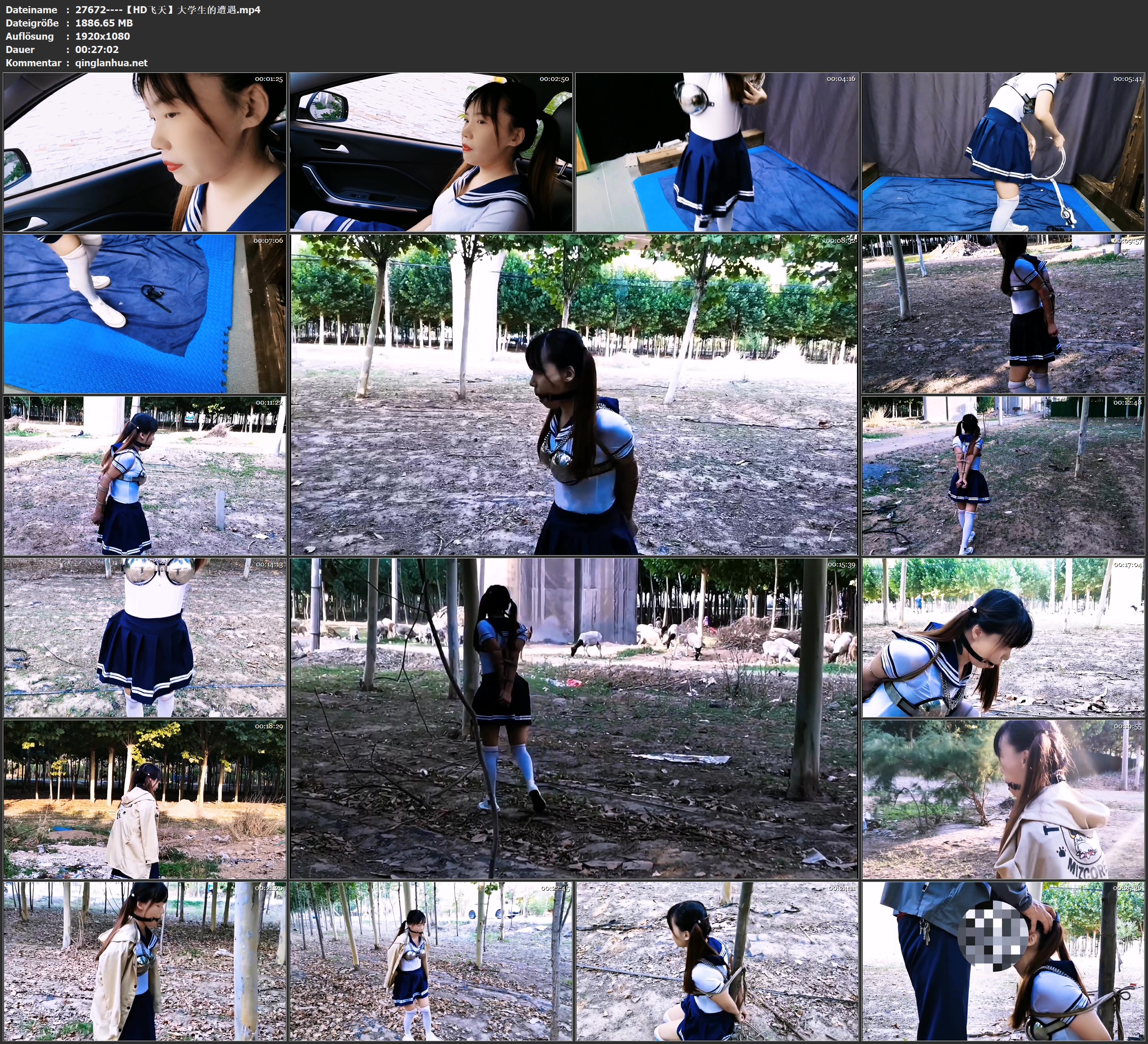 27672----【HD飞天】大学生的遭遇.jpg