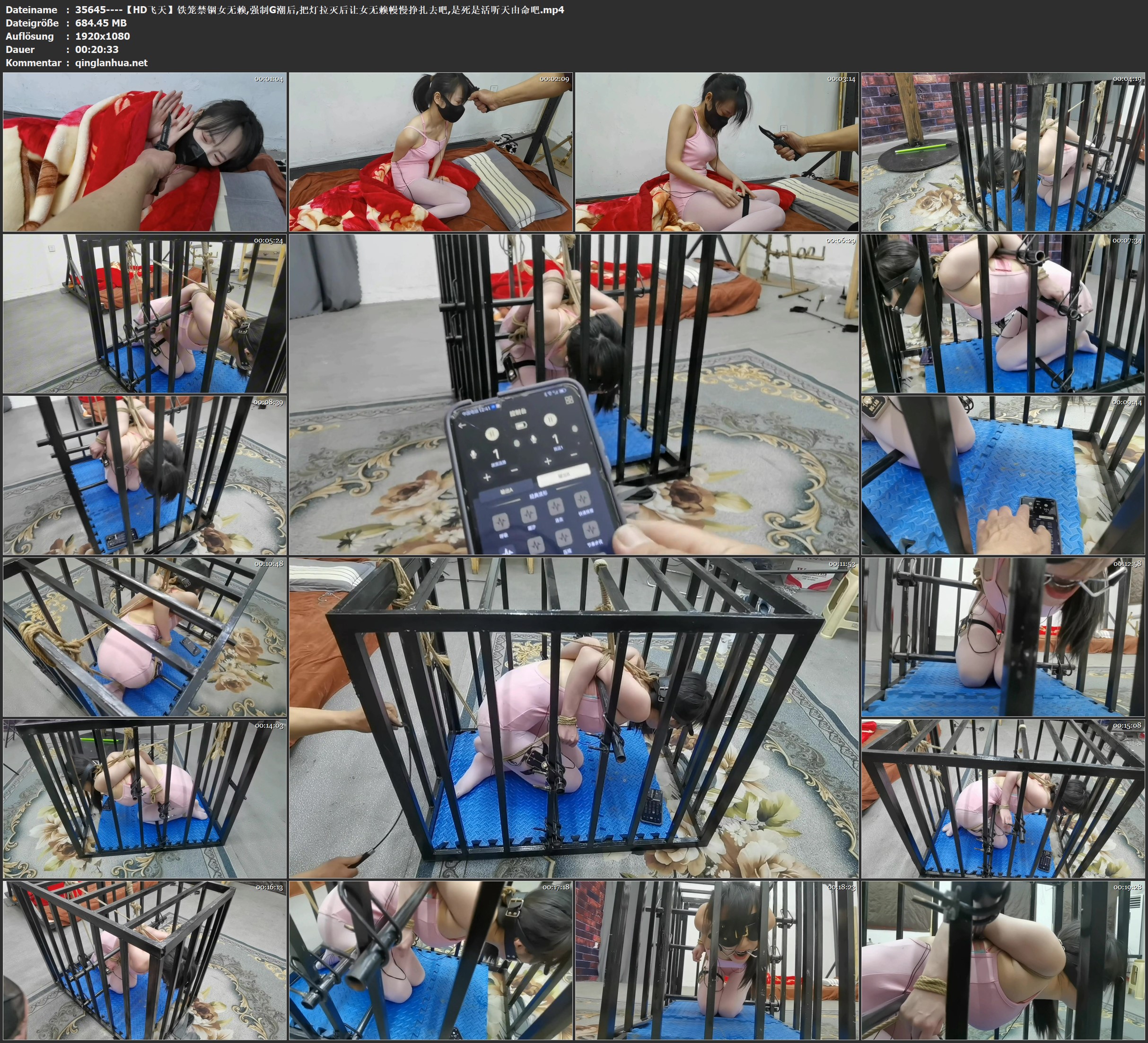 35645----【HD飞天】铁笼禁锢女无赖,强制G潮后,把灯拉灭后让女无赖幔慢挣扎去吧,是死.jpg