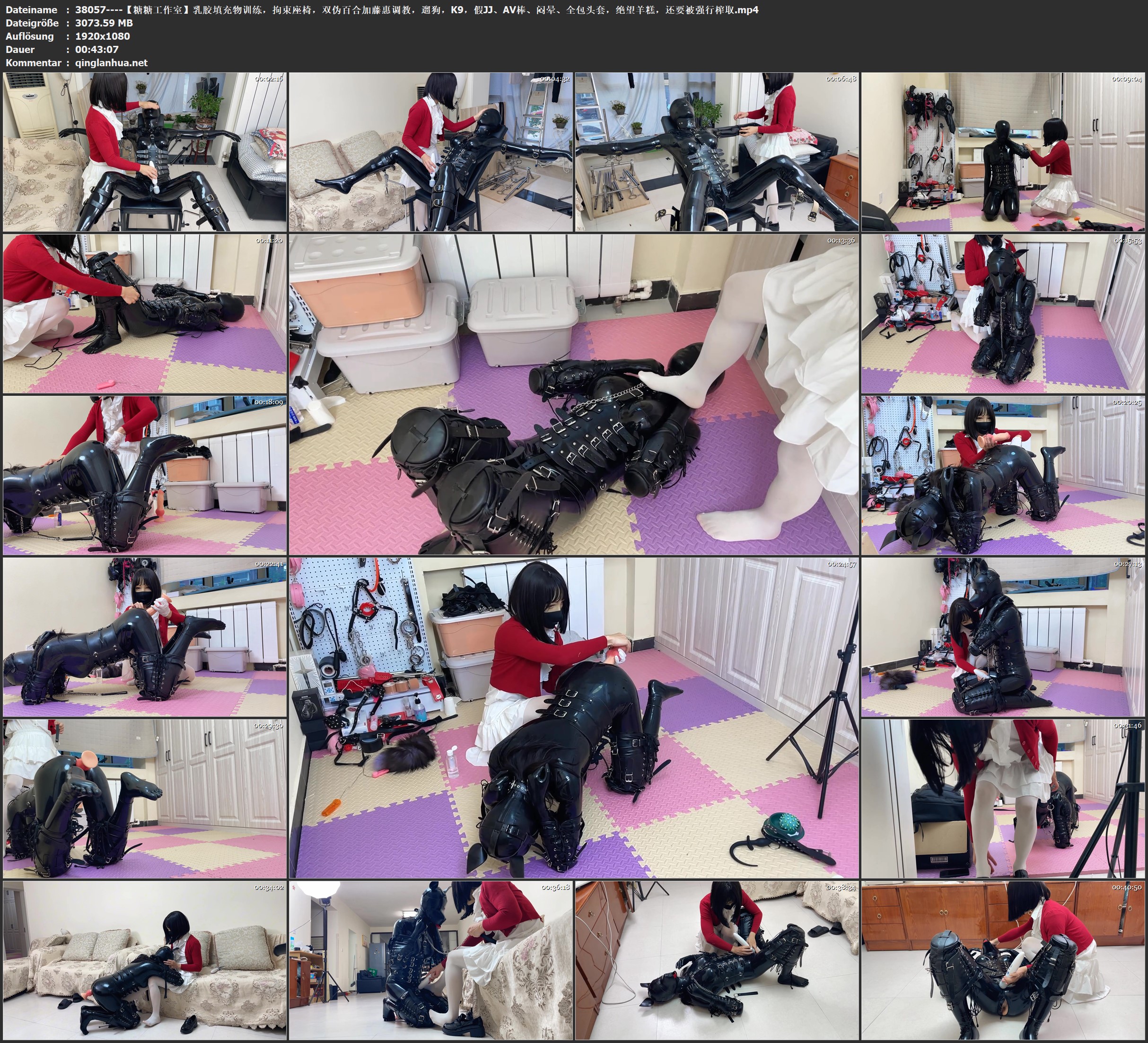 38057----【糖糖工作室】乳胶填充物训练，拘束座椅，双伪百合加藤惠调教，遛狗，K9，.jpg