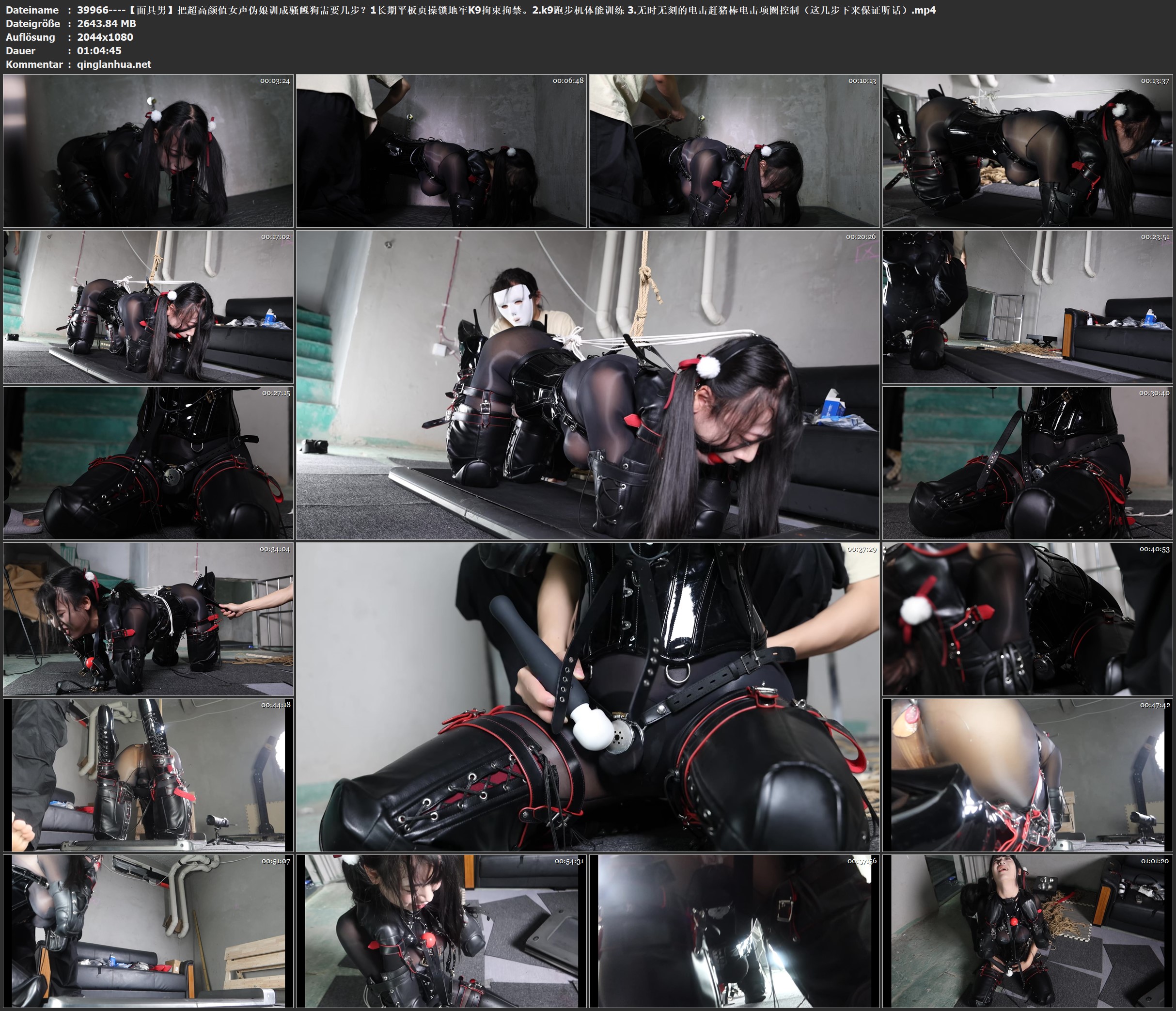 39966----.k9跑步机体能训练 3.无时无刻的电击赶猪棒电击项圈控制（这几步下来保证听话）.jpg