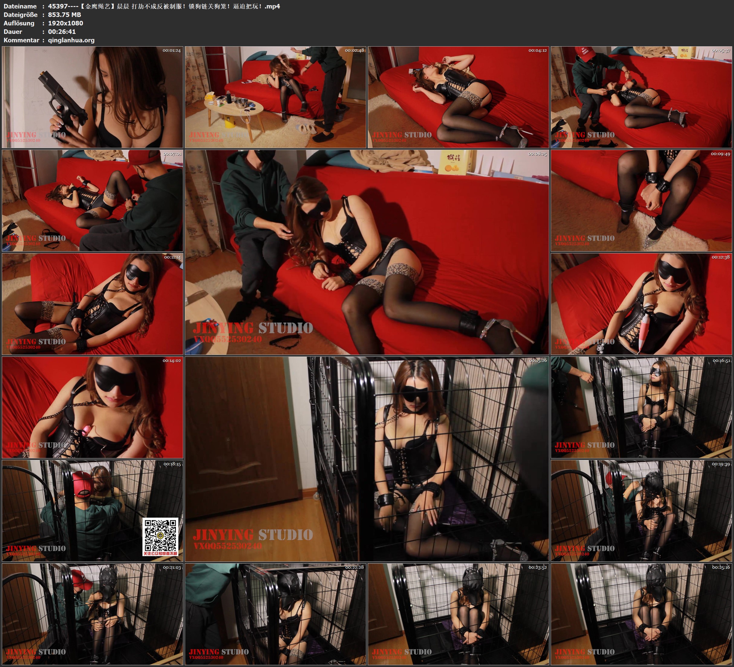 45397----【金鹰绳艺】晨晨 打劫不成反被制服！锁狗链关狗笼！逼迫把玩！.jpg