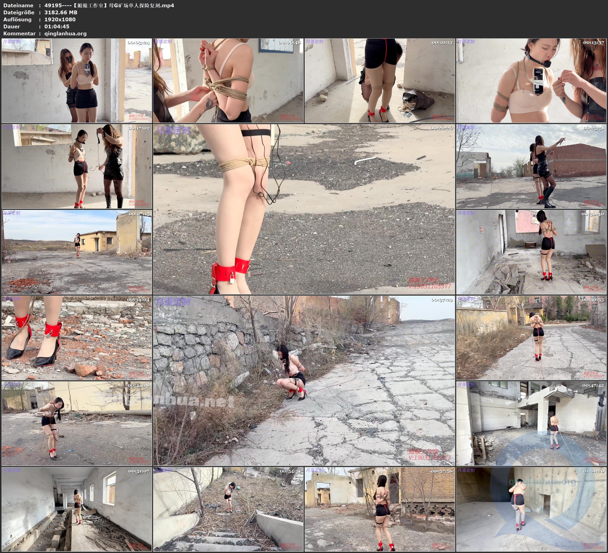 49195----【媚娘工作室】母G矿场单人探险复刻.jpg
