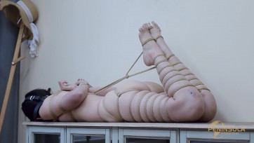 【半岛束艺台】【佟镜】 无牵无挂的放置考验