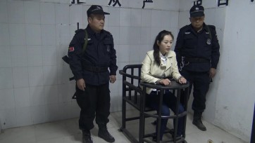 【梨花雨】轴尽待收浮生卷