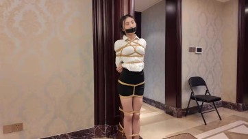 【枫叶工作室】剧情片 独闯龙潭1 第一集