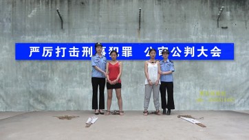 【梨花雨】诛故贳误 两朵娇花的凋零