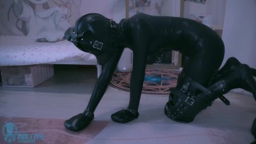 【闪闪工作室】【泉蜜蜂】 黑曼巴+人形犬装备 与蛇皮狗狗午后玩耍