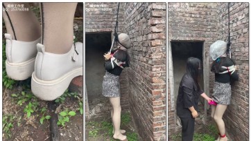 【媚娘工作室】废弃院子 院墙吊起