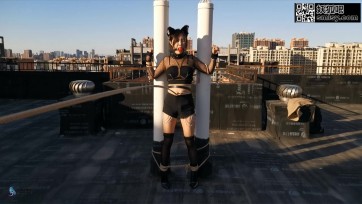 【JS】猫奴献礼 下