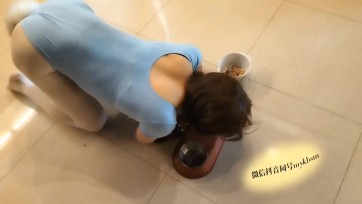 【明仪伪娘社】各种动物类变装游戏随拍纪念vlog