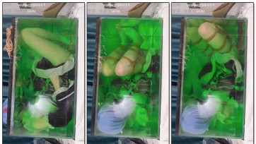 【哈曼哈w】蕾姆粘液灌肠45厘米g塞入体，水下捆绑拔出g塞