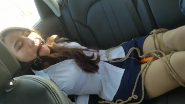 【一往情深】李沐子东北调教回忆录之《城郊初调》