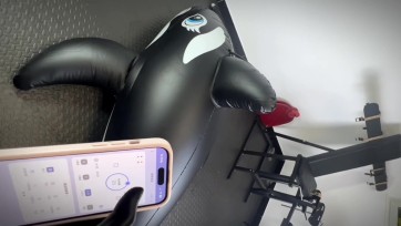 【Lebao】【超刺激丸吞】*被姐姐关进充气虎鲸骑乘*电击强震训练无法逃出-只靠一根软管呼气的无尽闷绝高朝实验（附旋转飞机杯射后龟责*猫爪白丝