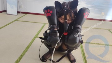 【秦韵绳屋】宠物的训练