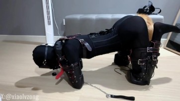 【恋鱼日记】小鱼的K9多项训练 爬行遛狗 开口器练习口J 被放在衣柜里强高