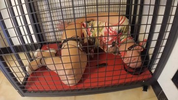 【面具男】肉丝高跟旗袍伪娘咕咕受虐记2，狗笼放置惩罚电击镣铐白高跟行走悬吊榨汁地狱