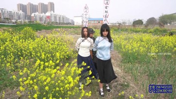 【一绳有你】【双烈女雄】柳絮、朱婷婷师生身份暴露被特务抓到刑房对她们各种酷刑后油菜花地枪决英勇牺牲！