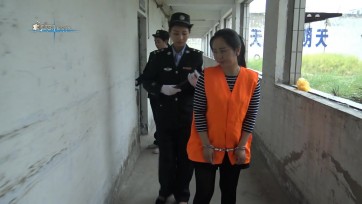 【梨花雨】审问